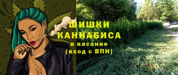 ешки Лагань