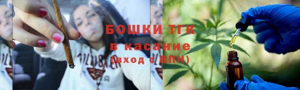 apvp Аша
