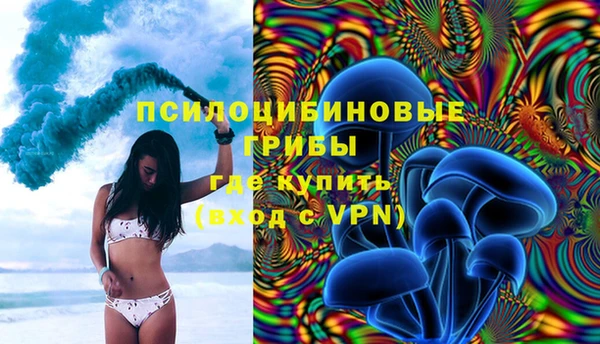 мяу мяу мука Куйбышев