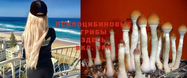 кокаин колумбия Кукмор