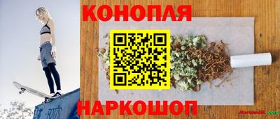 гидра Беслан