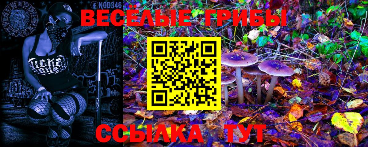 Луховицы  Псилоцибиновые грибы мухоморы  Вход с VPN 